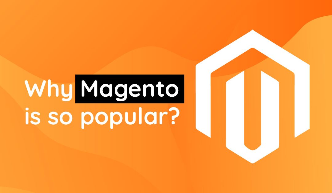 why Magento is so popular?